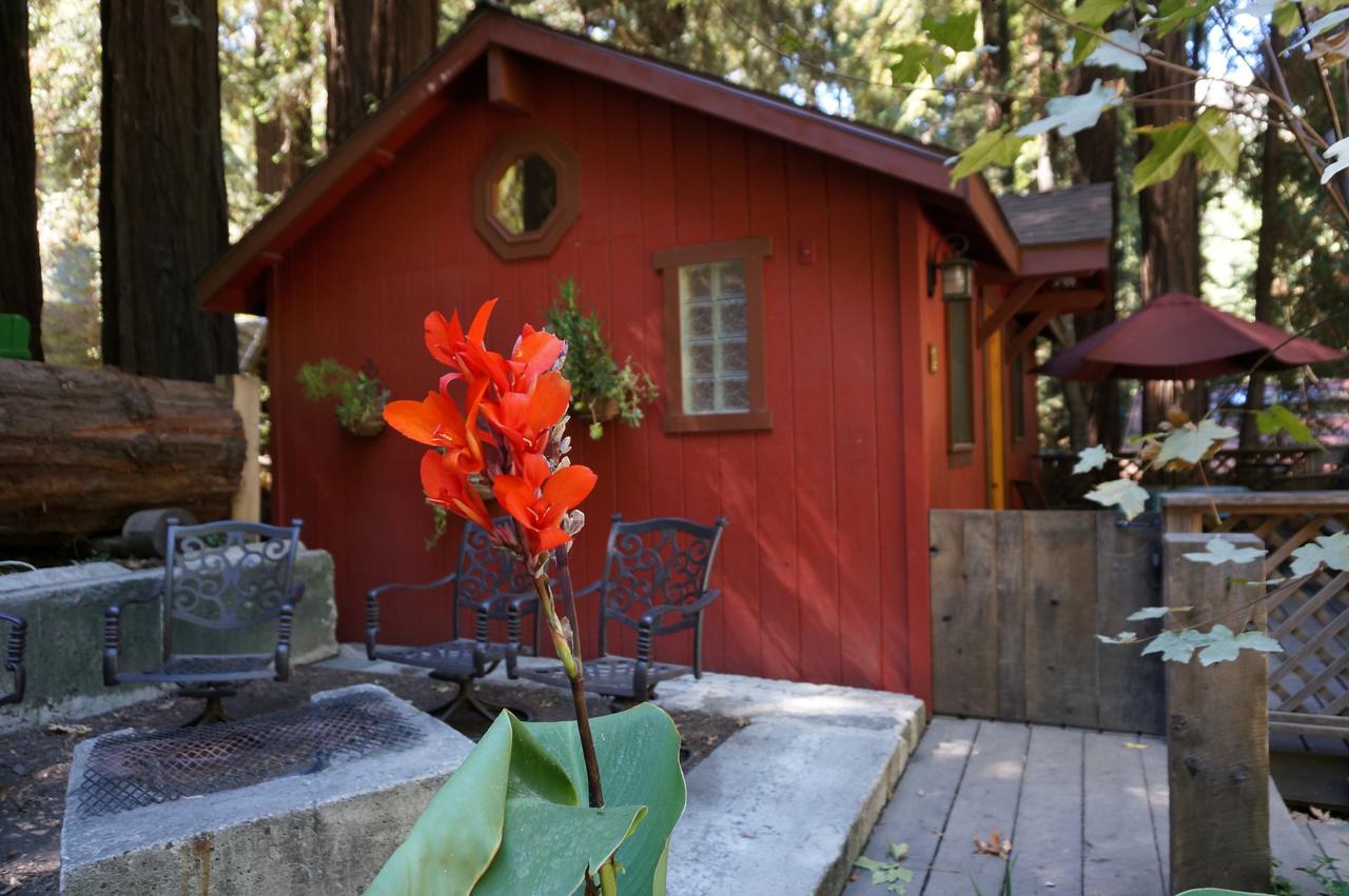 Riverside Campground & Cabins Биг-Сур Экстерьер фото